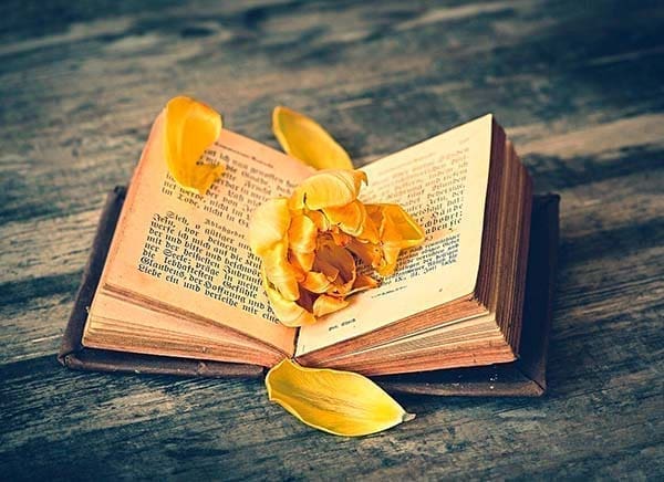 découvrez comment comprendre et gérer le retour de l'amour dans votre vie, avec des conseils pour naviguer cette étape émotionnelle importante.