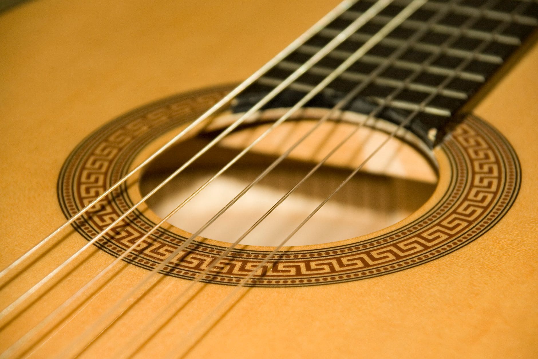 Instrument à cordes pincées : définition, exemples et usages